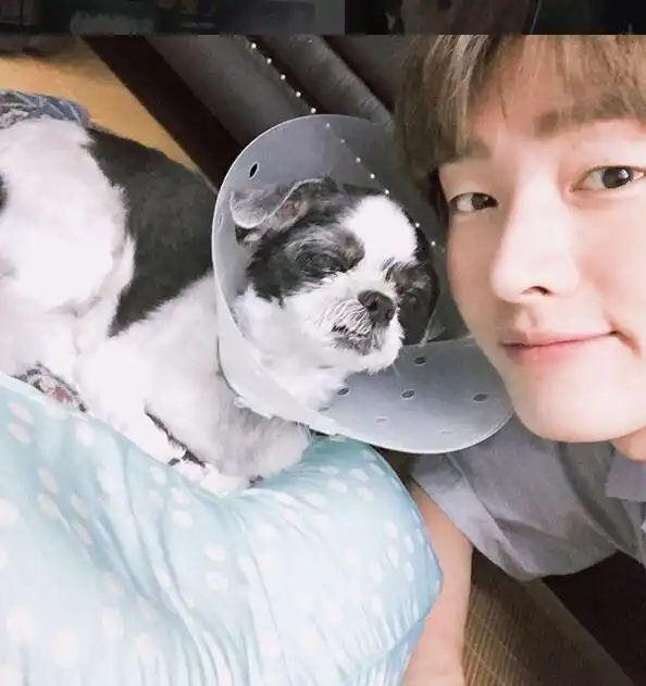 무쌍파워얍