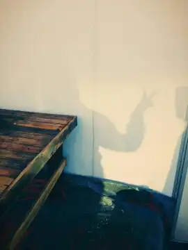 젤리점핑