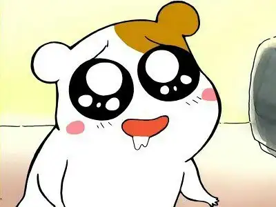 화콩쓰