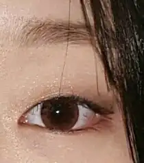 뒤뚱덕뚱