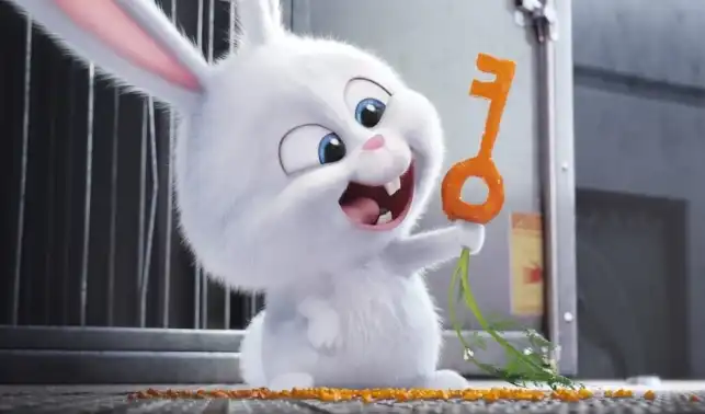 SNOWBALL