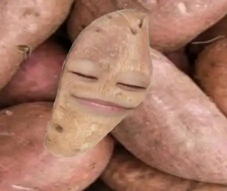 빈아_bina