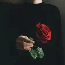 다크다크다크