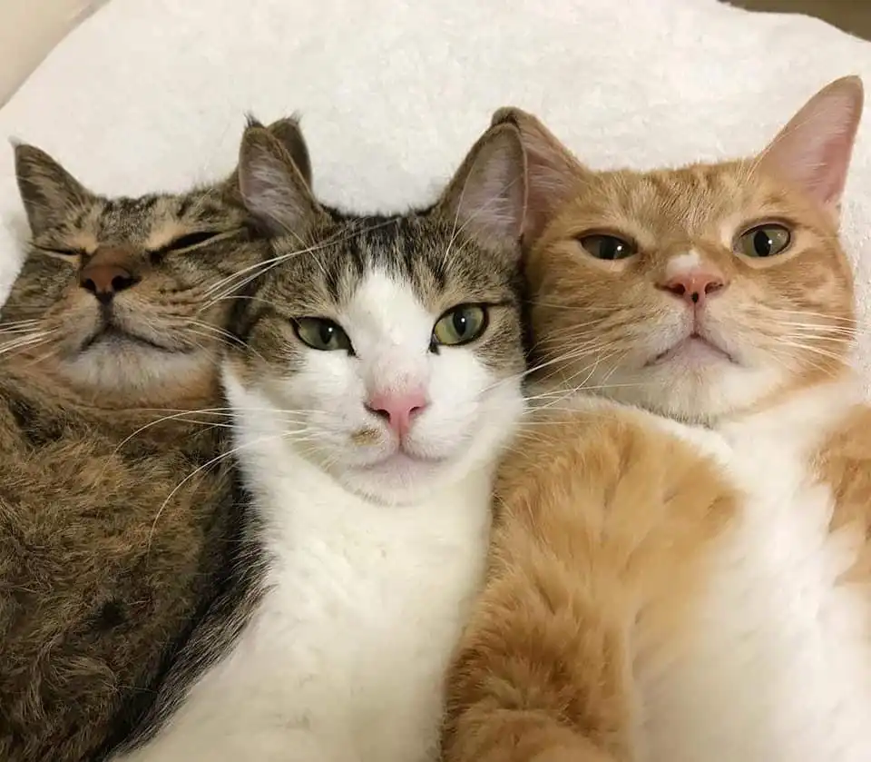 이건좀