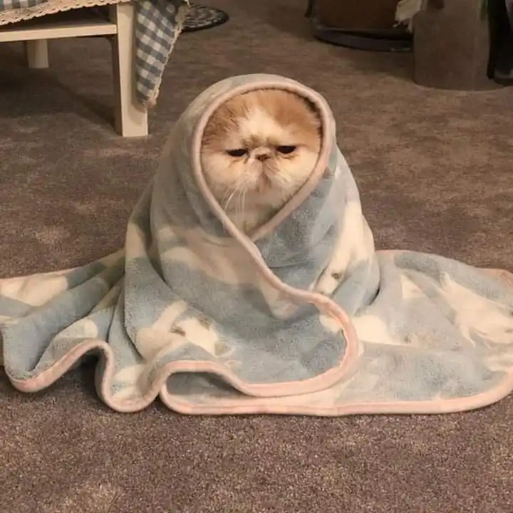 달누주