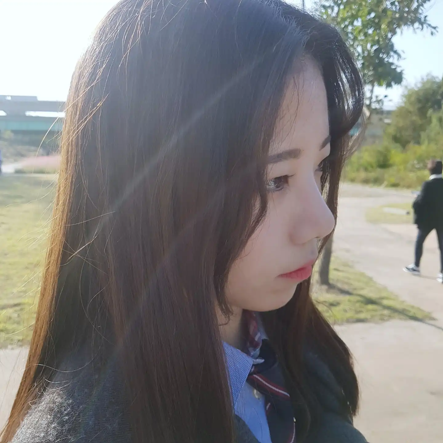 민파카