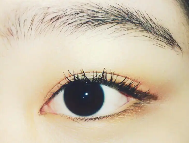 로즈번