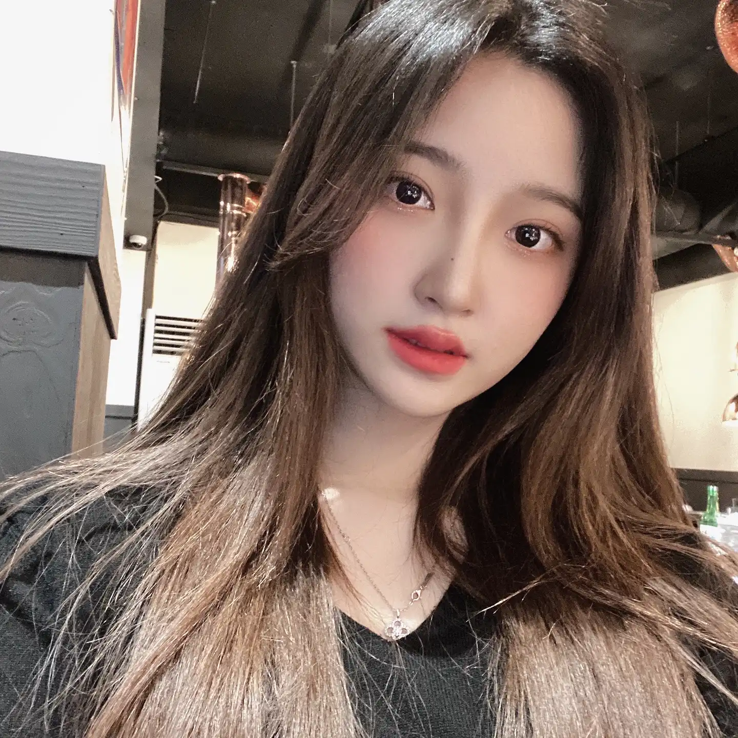 보윤병아리