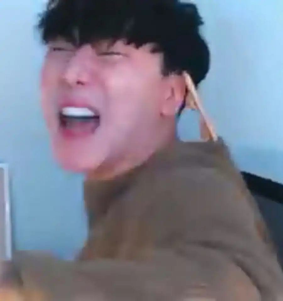 홍지자