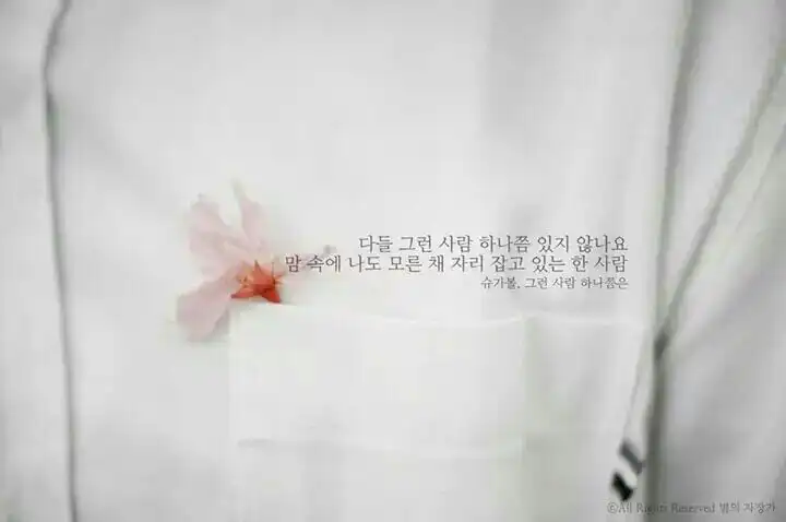 앙냥냥냥