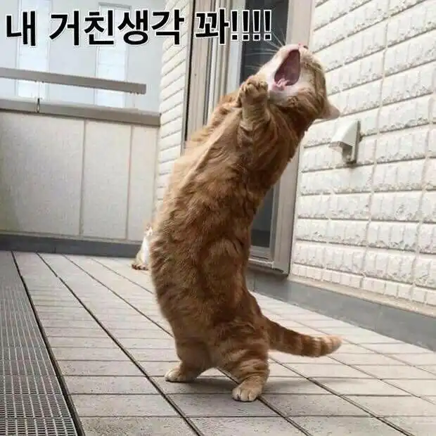 unpa삐삐