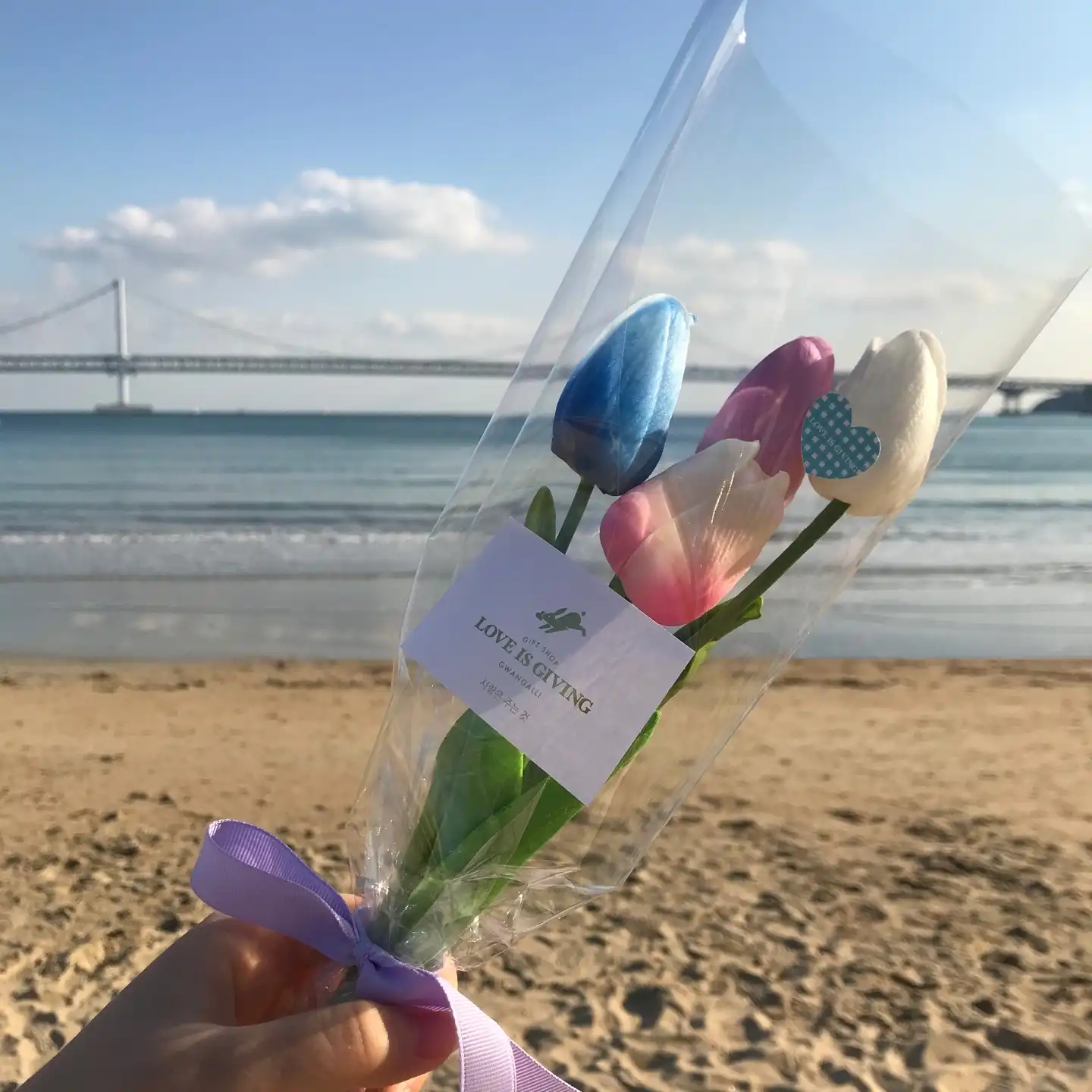 청월빈