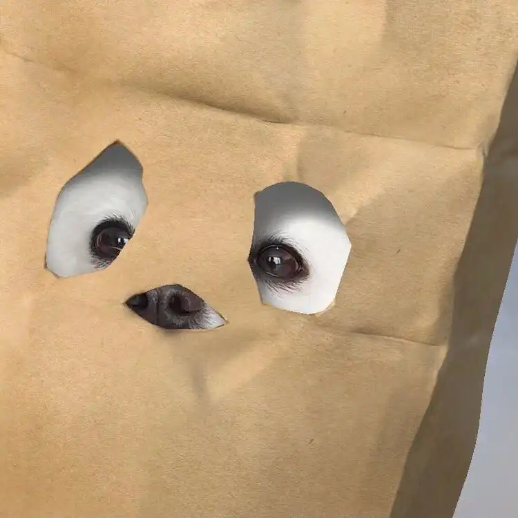 뽀뺘
