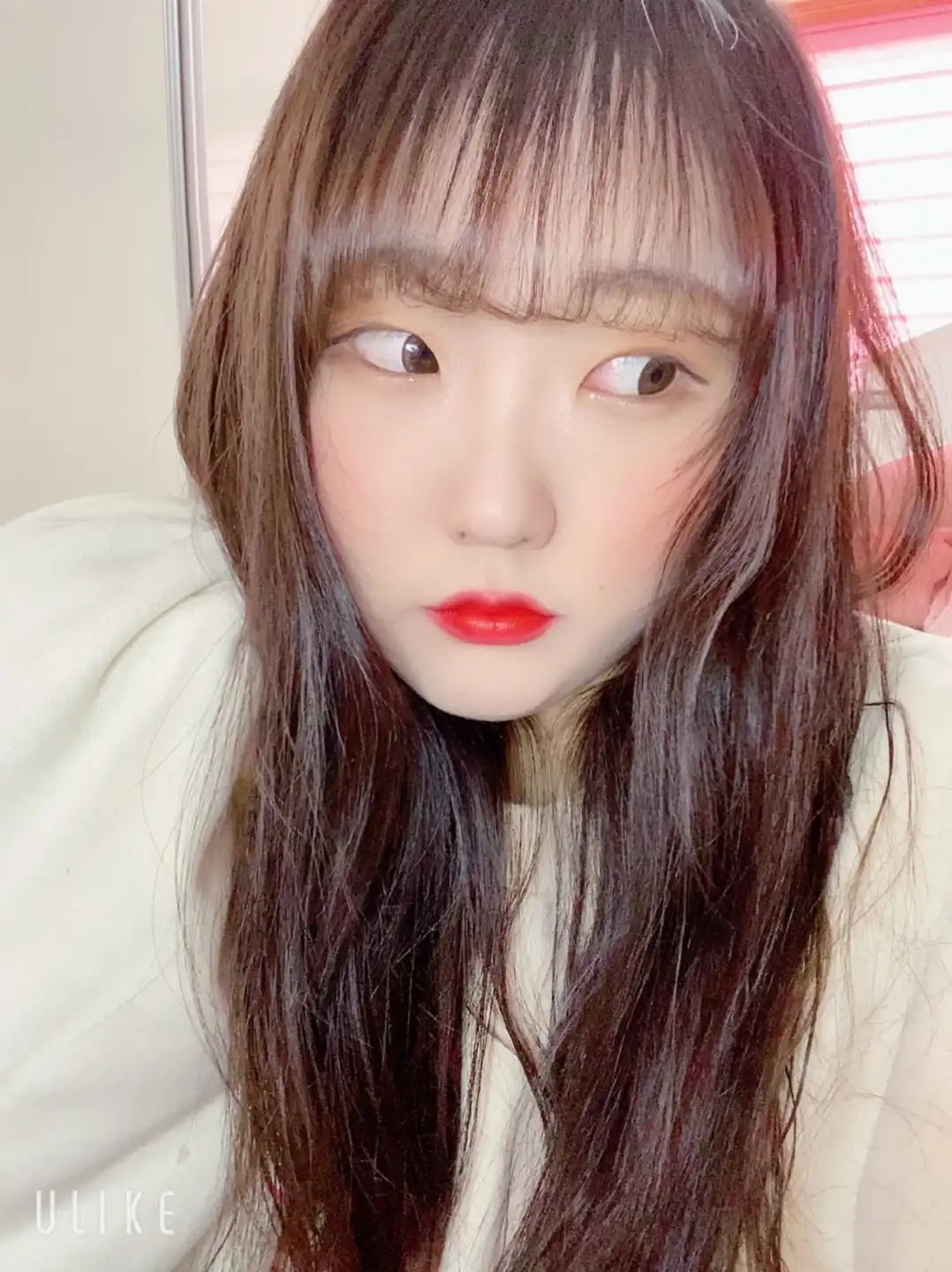 Lily_
