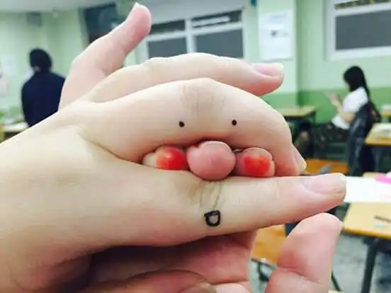 하리보띱