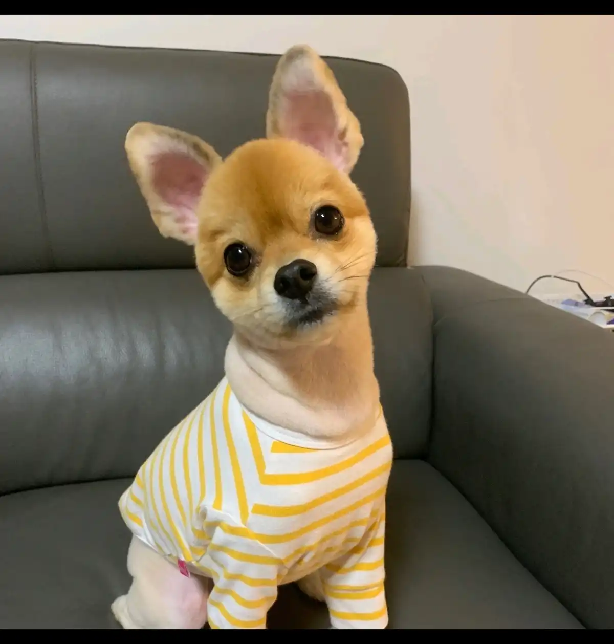 아이리앙
