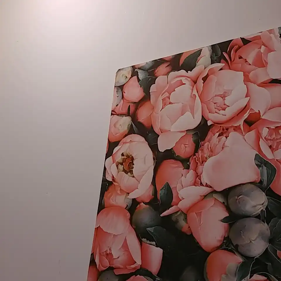 알약동한
