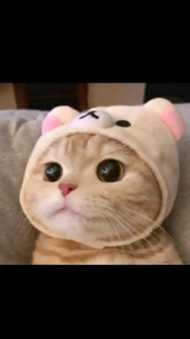 화장초보에요ㅠ