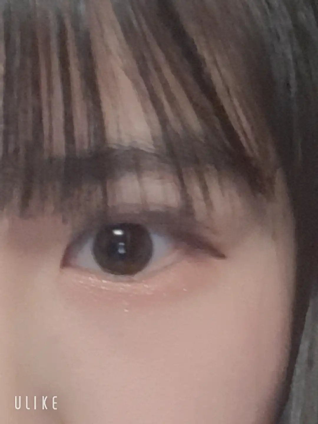 태정태세문단속해라