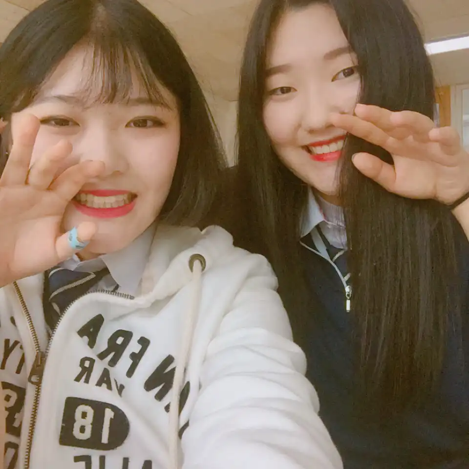 샴꼬양이