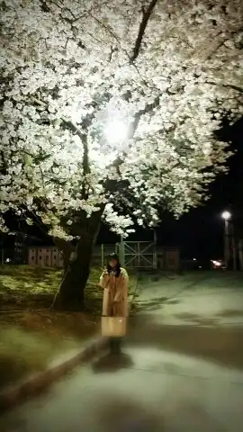디리딩