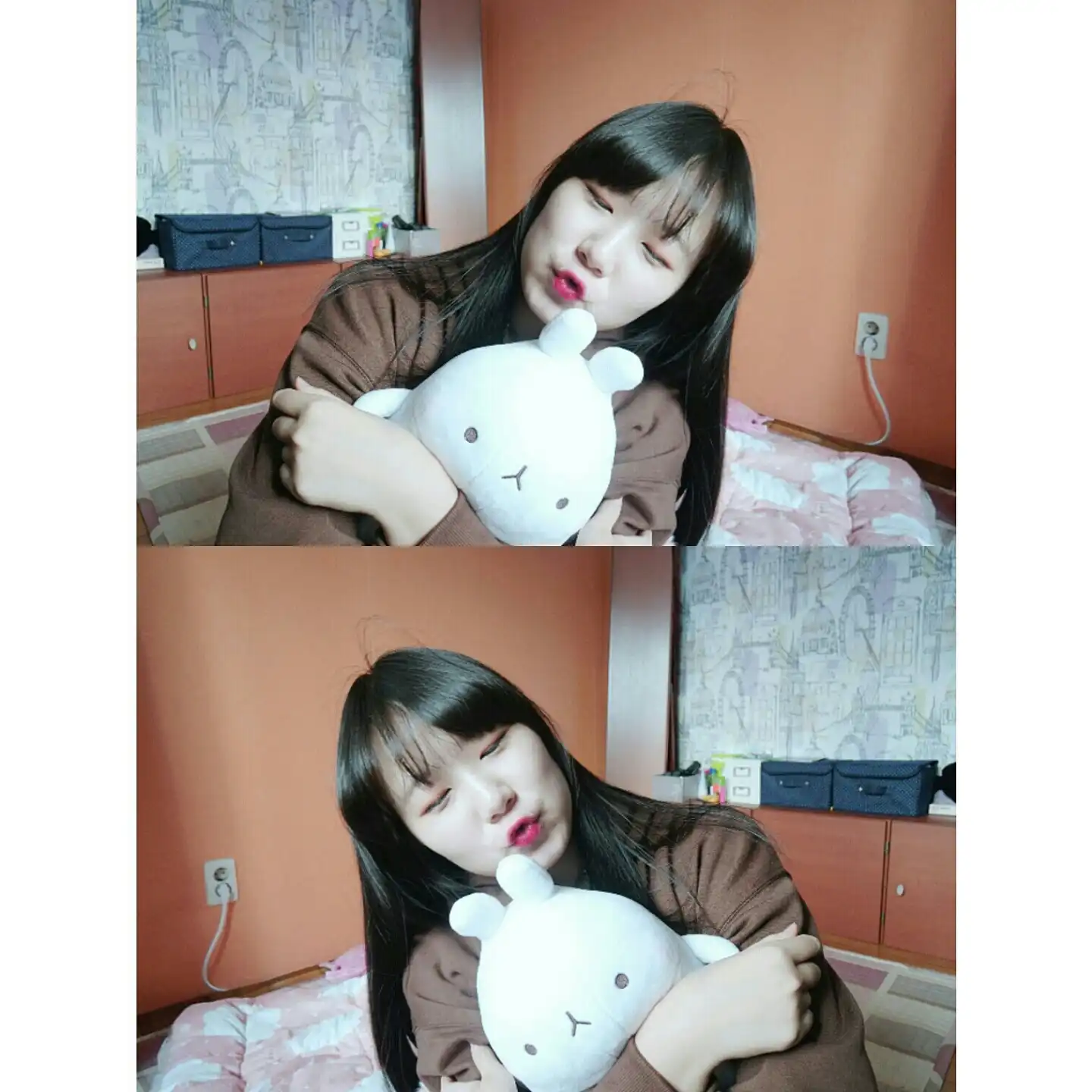수연콩