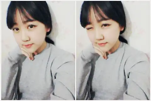우주목