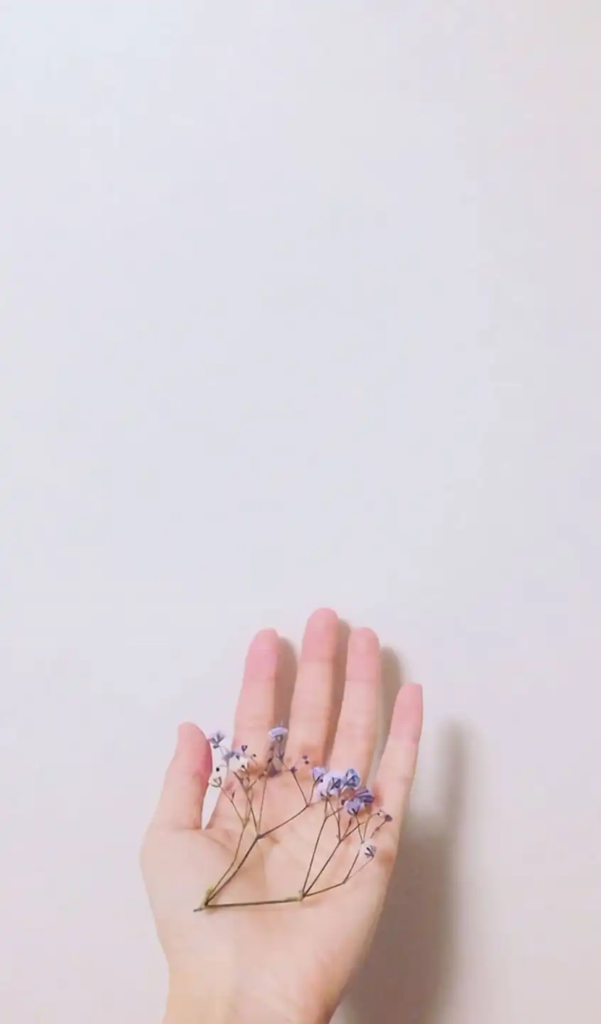 궁디퐁퐁