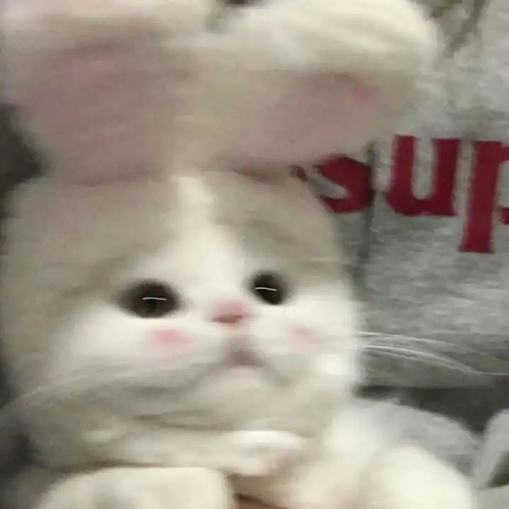 무쌍수여닝