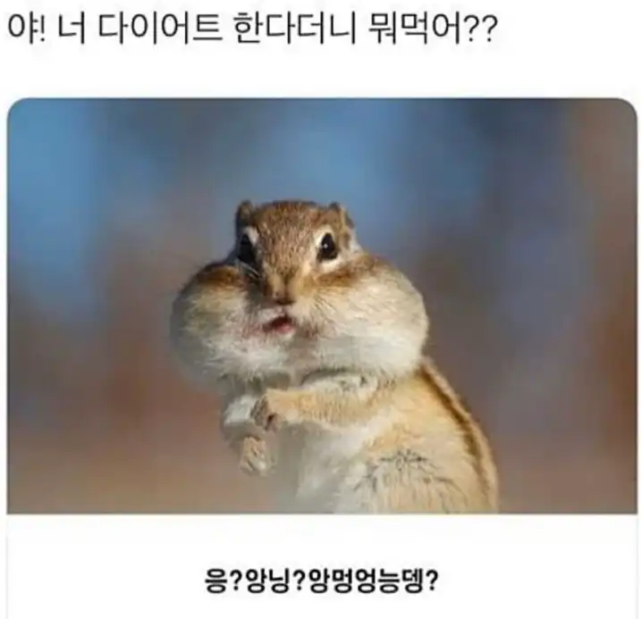 푸드걸