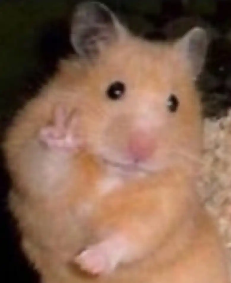 친하게지내자