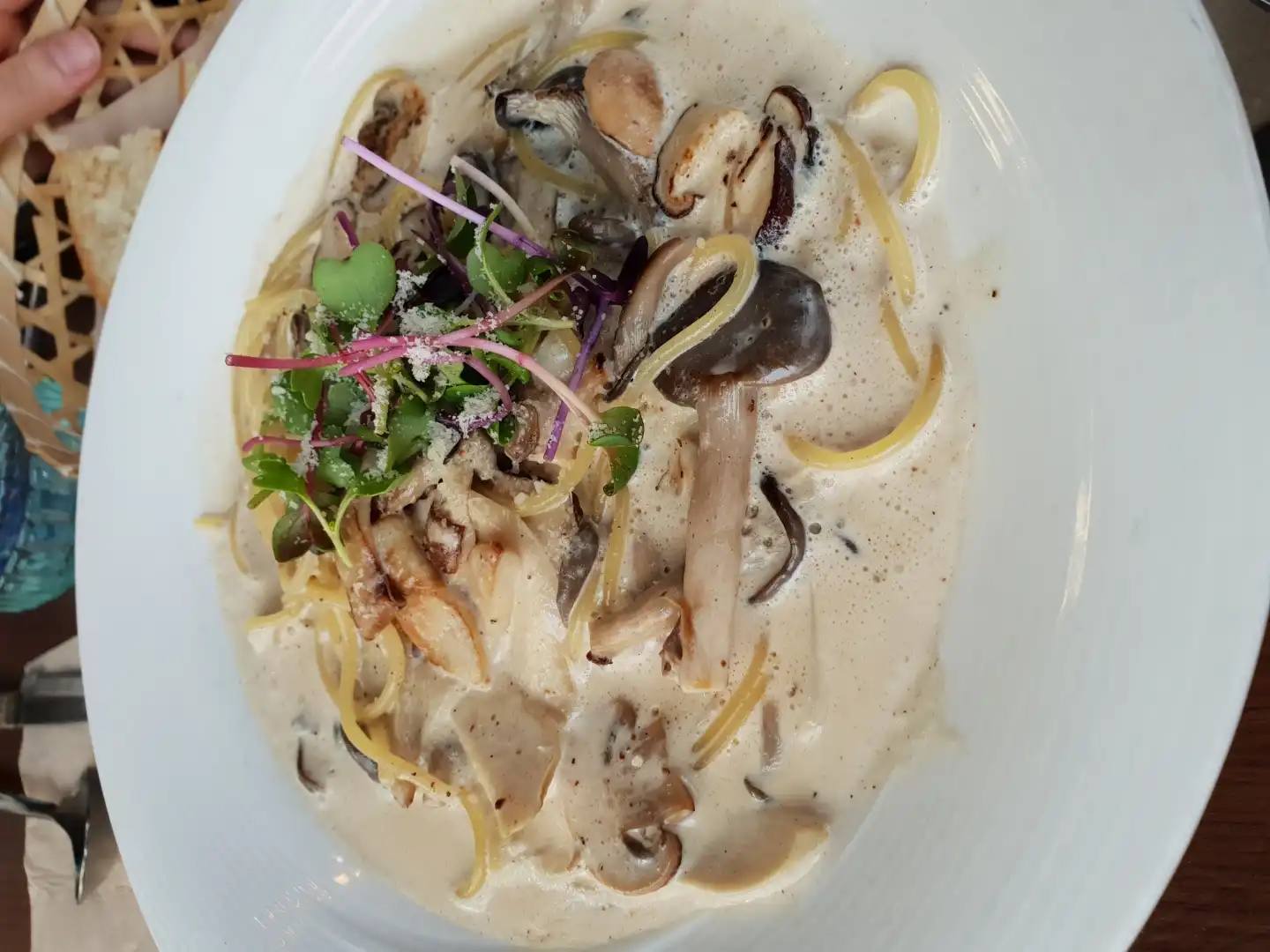 뿌잉뿌용데헤헿