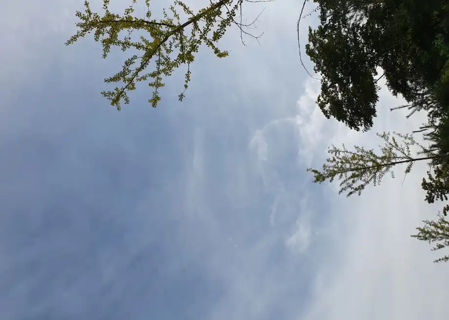 반갑습니다람쥐