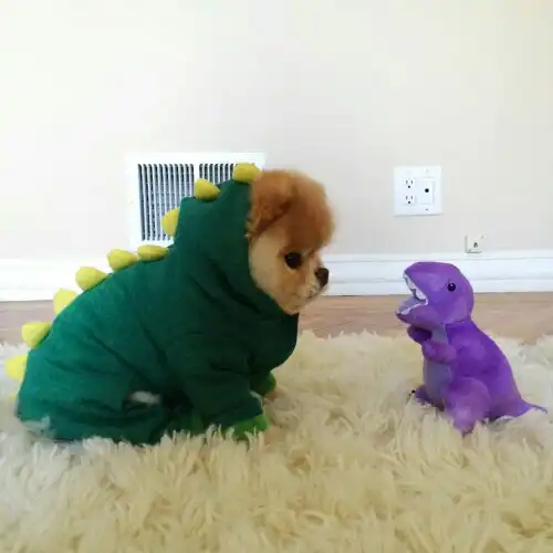 쌩얼몬돌아왔다