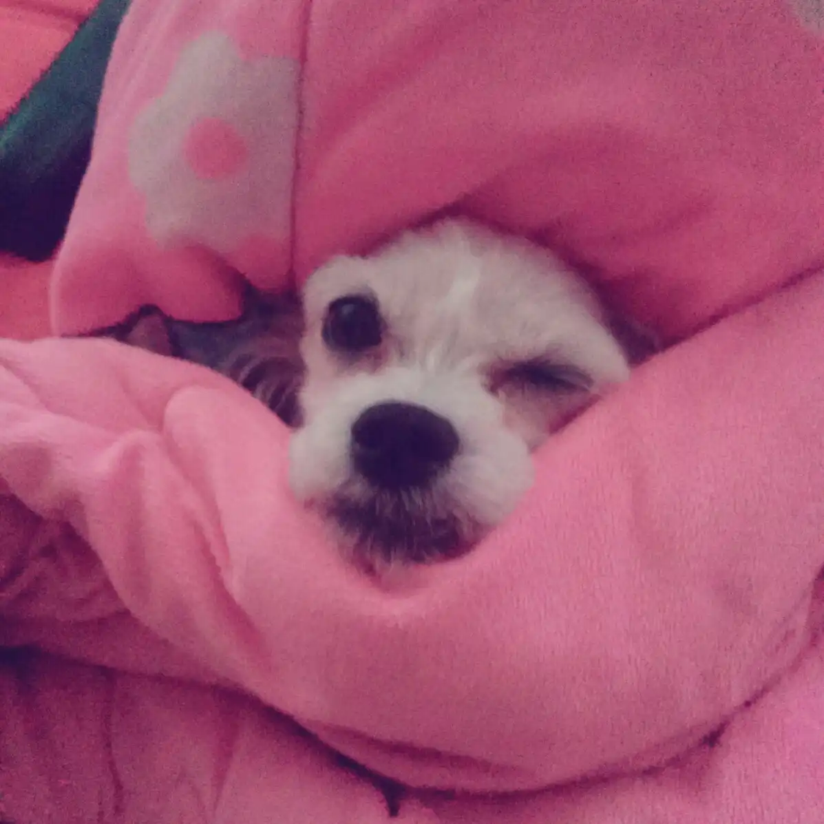 쭈ㅡ기
