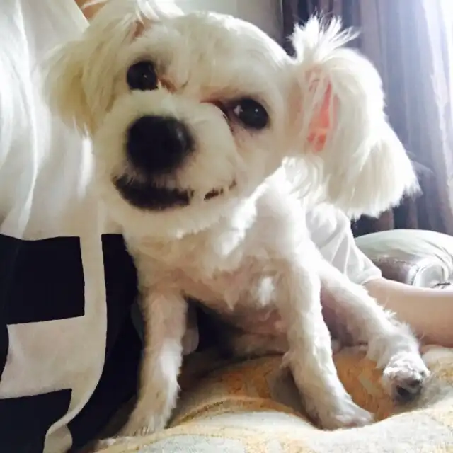 화쟝품덕휴