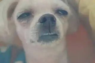 뀨르룩르륵