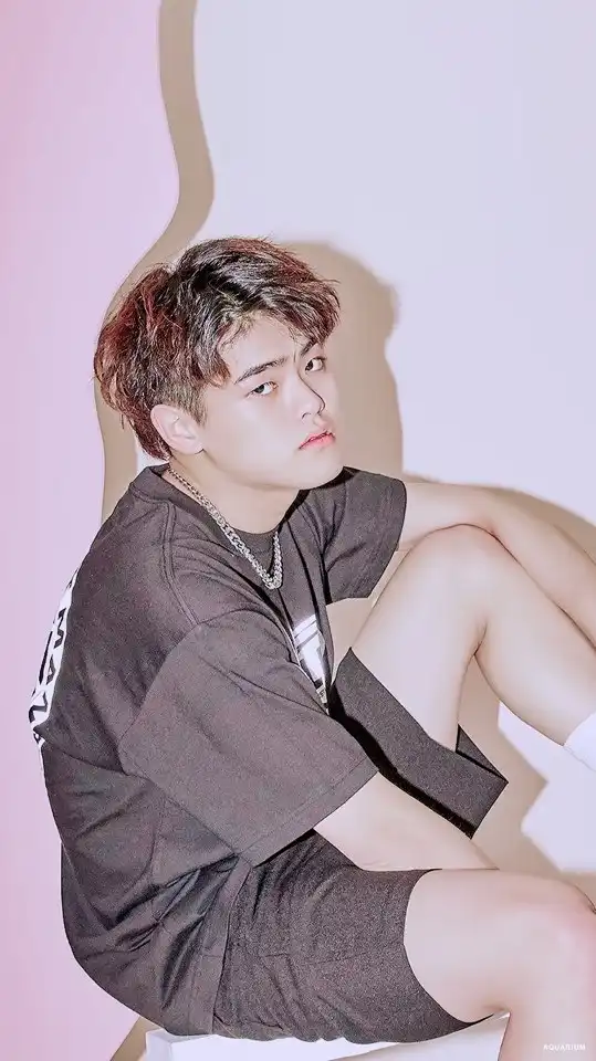 달걀도른자