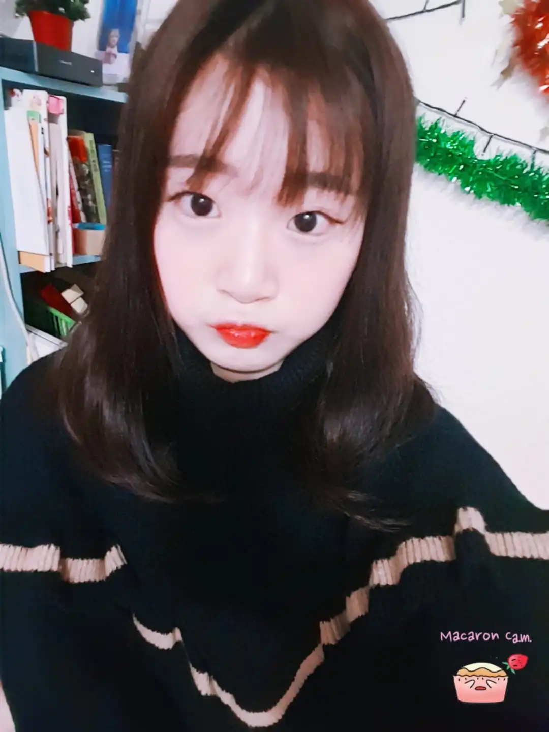 쪼꼬비