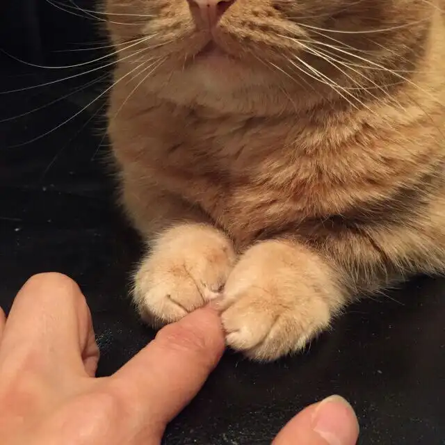 러블리유린