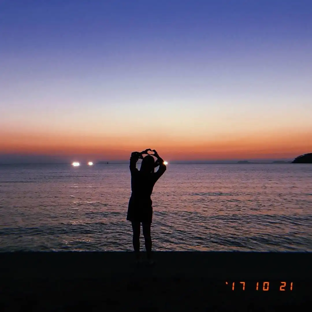 묘진진
