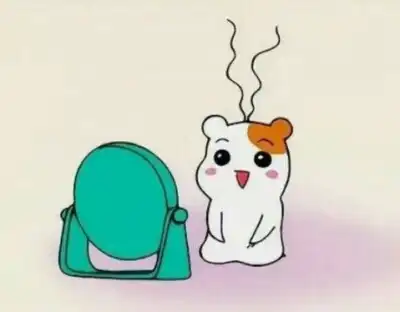 주희요밍