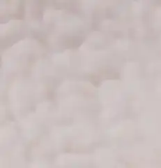 ꨄ︎