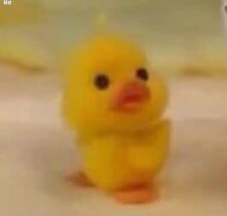 오네즈
