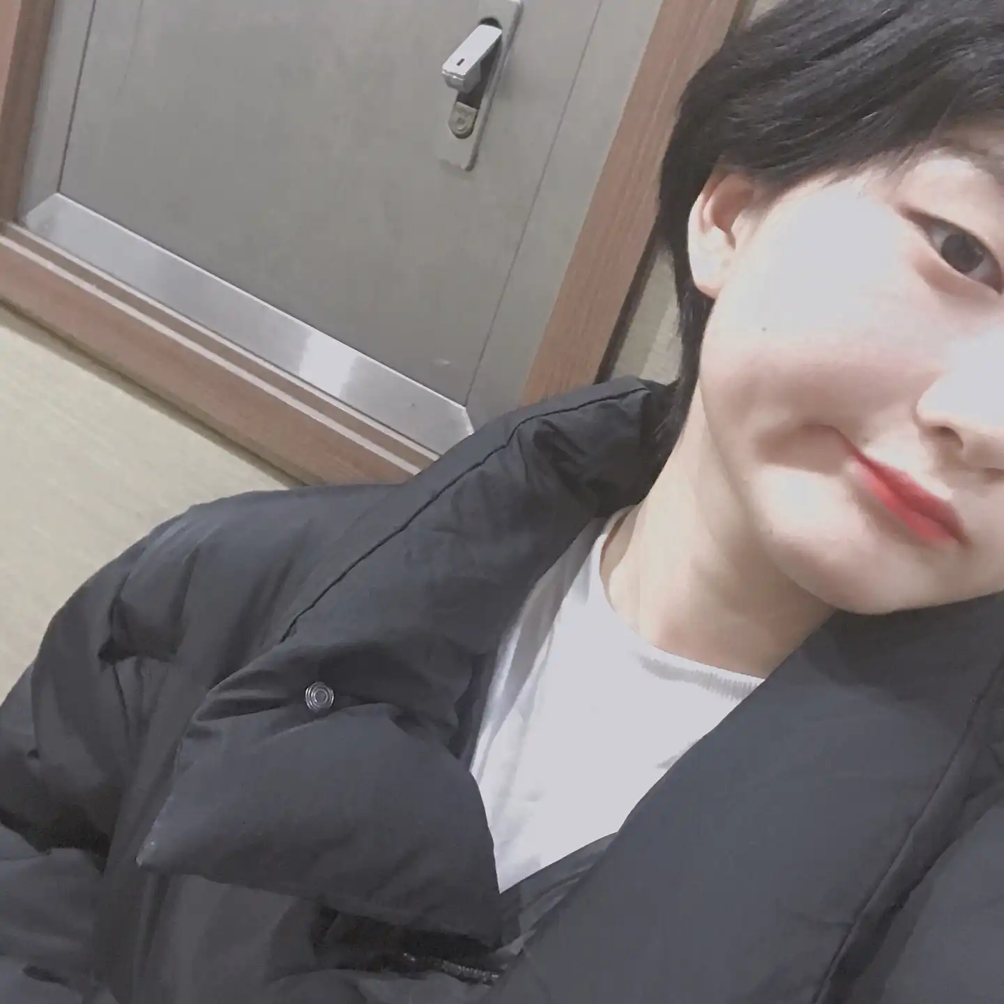 제트리