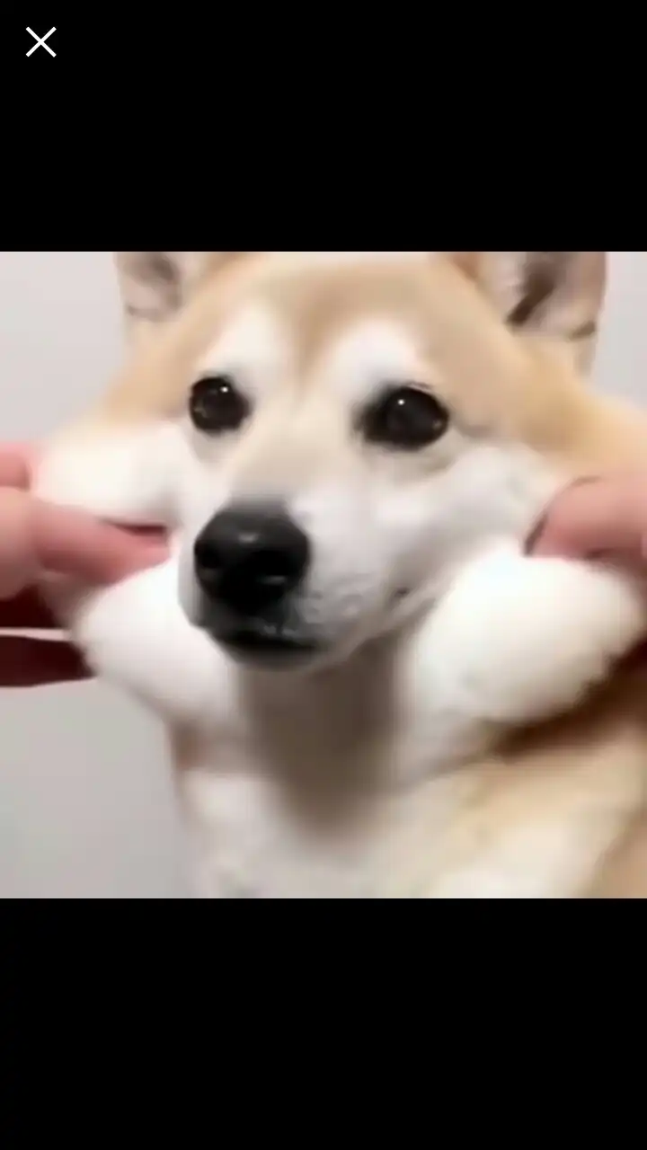 뷰티덕쿠