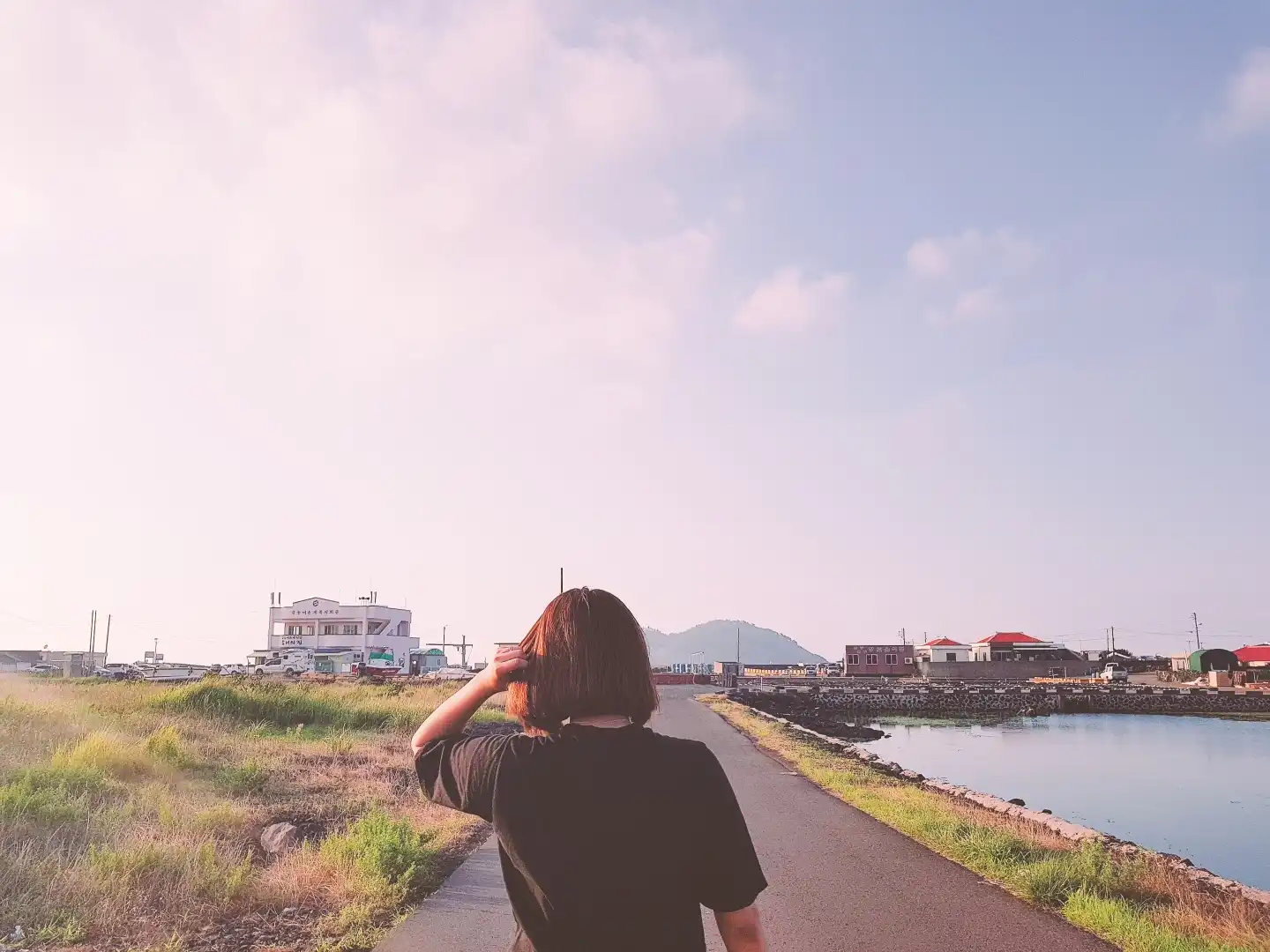 콩나무울