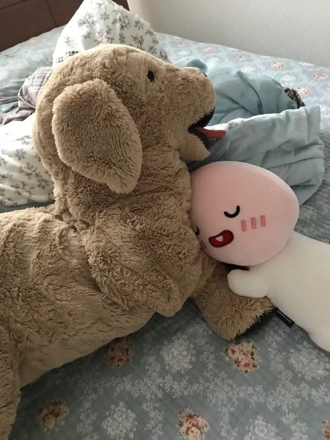 수짱이형