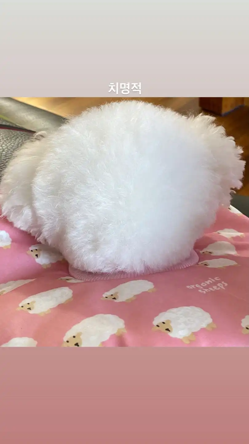 우헤헤우헤헤
