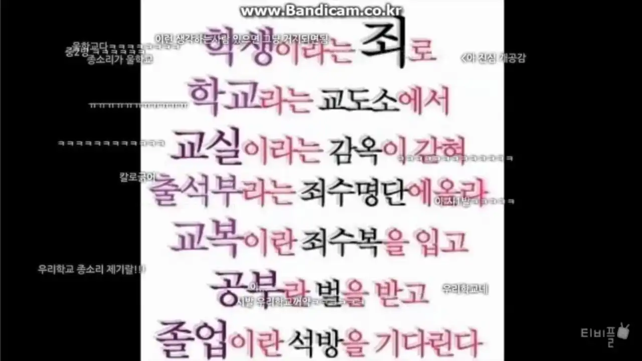 유저 배경화면
